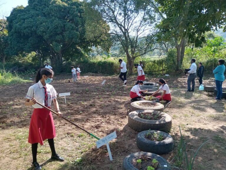 school children gardening